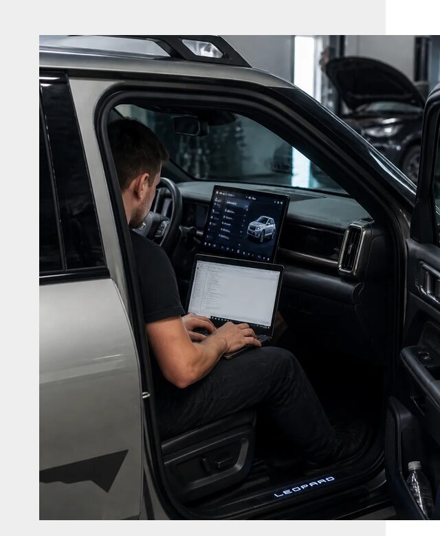Русификация BYD Leopard 3 в Копейске по цене от 20423 р. | ФастМобиль-Кпс